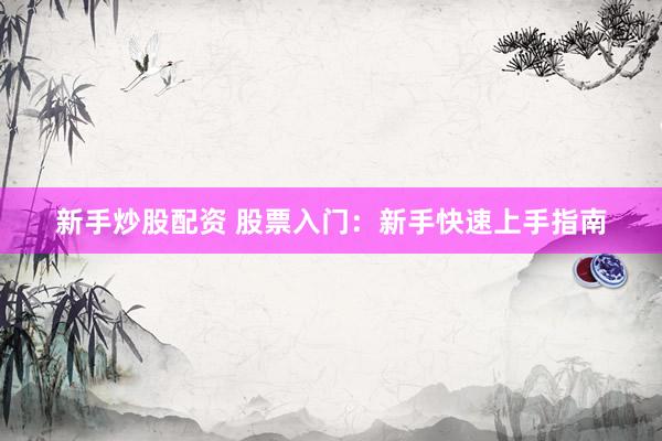 新手炒股配资 股票入门：新手快速上手指南