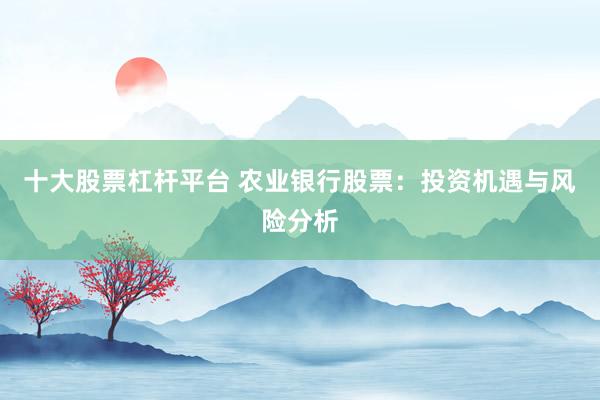 十大股票杠杆平台 农业银行股票：投资机遇与风险分析