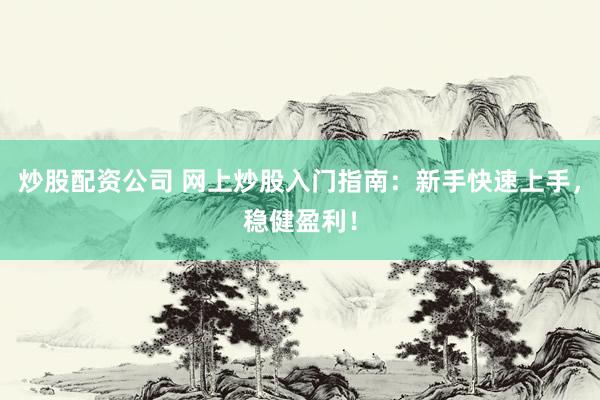 炒股配资公司 网上炒股入门指南：新手快速上手，稳健盈利！