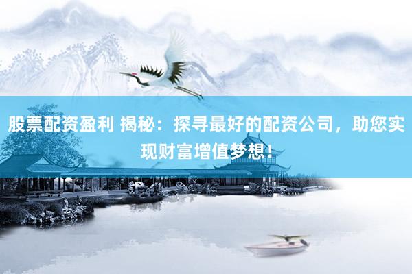 股票配资盈利 揭秘：探寻最好的配资公司，助您实现财富增值梦想！