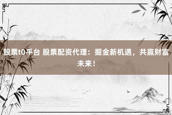 股票t0平台 股票配资代理：掘金新机遇，共赢财富未来！