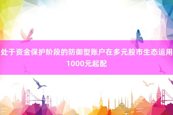 处于资金保护阶段的防御型账户在多元股市生态运用1000元起配
