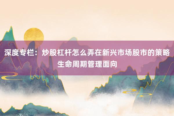 深度专栏:炒股杠杆怎么弄在新兴市场股市的策略生命周期管理面向