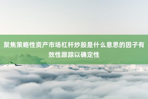 聚焦策略性资产市场杠杆炒股是什么意思的因子有效性跟踪以确定性